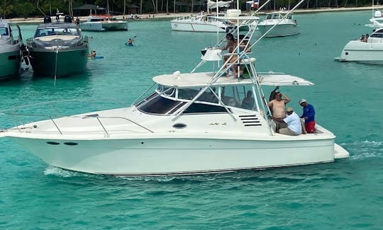 Private Yacht in La Romana, Casa De campo - Catalina - Saona Island or Palmillas