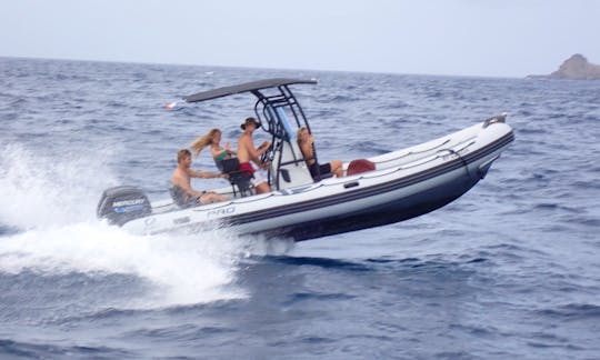 Inflatable motorboat 7 meters 2 x 115 hp 12 persons