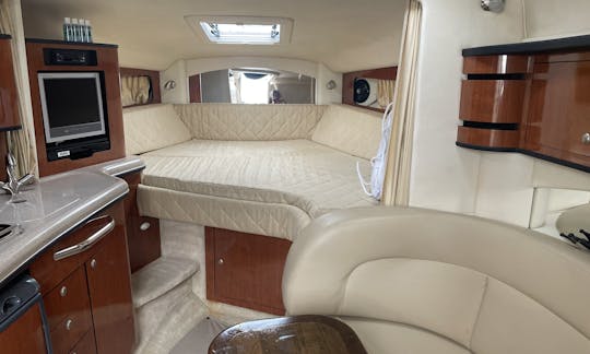 33' Sea Ray Motor Yacht for rent in Chicago, Illinois