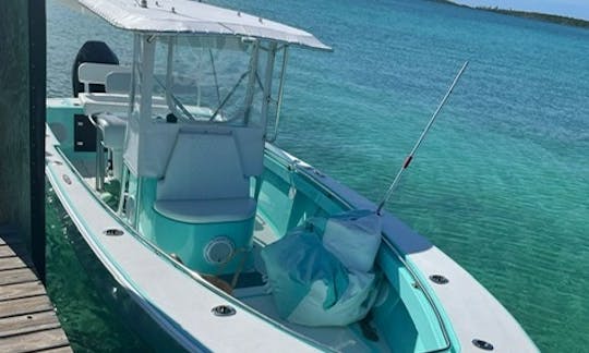 Snorkeling Tours aboard 24' Seacraft