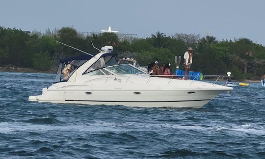 Gorgeous 37ft Cruiser Yacht for rent in Miami, Florida