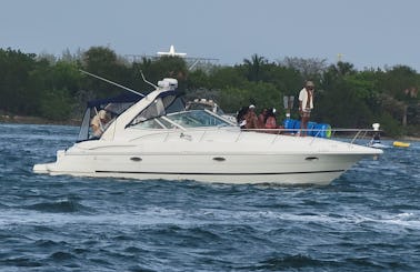 Gorgeous 37ft Cruiser Yacht for rent in Miami, Florida