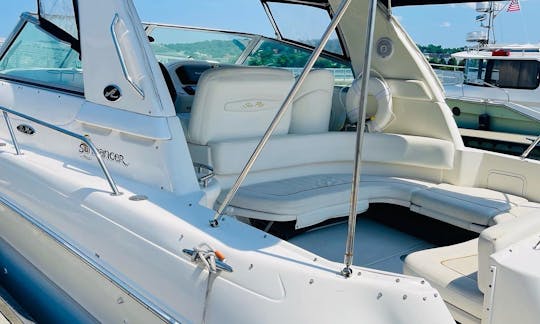 Lindo Sea Ray Sundancer de 33 pés, em mogno!