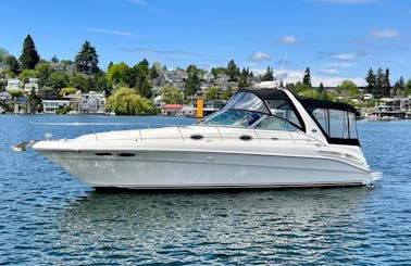 Cozy 34ft Searay Sundancer Motor Yacht in Seattle, Washington
