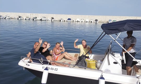 Viagem de golfinhos, bebidas e lanches grátis