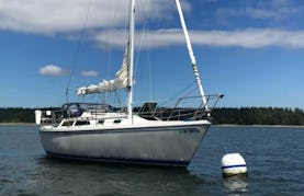 Perfect Puget Sound Sailboat with USCG License Captain | 30ft Catalina Yacht for 6 people!