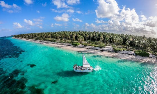 Relaxing Catamaran Charters in Punta Cana