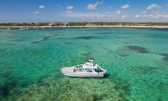 Snorkeling and Party Boat 🎉Best 2021-2022 Awards 🎉  in Punta Cana, La Altagraci