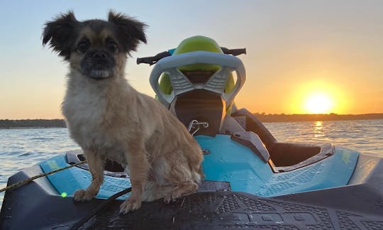 Location de jetski Sea Doo Spark 2022 à Belton, Texas #1