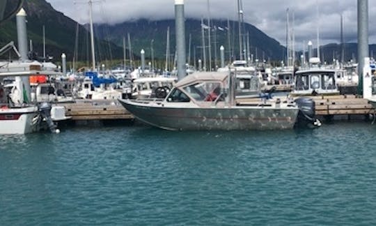 21' Aluminum Runabout rental in Seward, Alaska