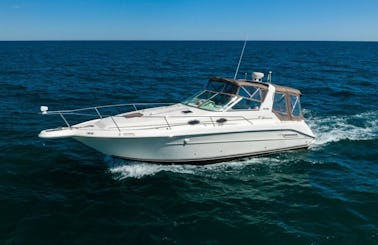 Luxury 33' Sea Ray - Come Charter & See Chicago!