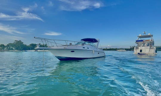 Charter 40ft Doral Motor Yacht in Miami, Florida