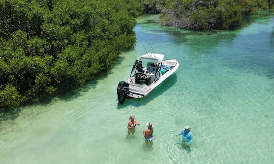 23ft Concept Powerboat Island Tour and Sandbar charter