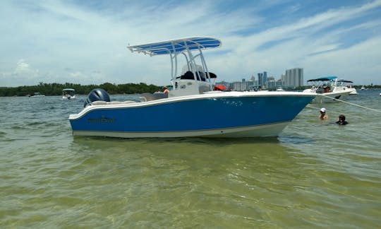 Rent the 21' Nautic Star Center Console!