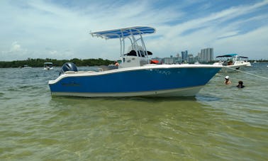 Rent the 21' Nautic Star Center Console!