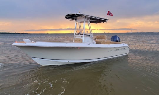 Private Cruises around Charleston for up to 7 guests!