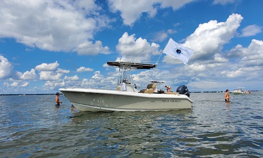 Private Cruises around Charleston for up to 7 guests!