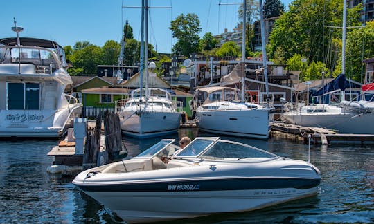Bayliner Capri Deck boat Rental in Seattle, Washington for 7 People!