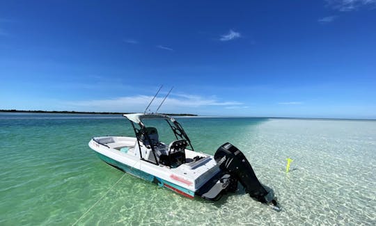 23ft Concept Powerboat Island Tour and Sandbar charter