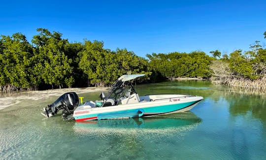 23ft Concept Powerboat Island Tour and Sandbar charter