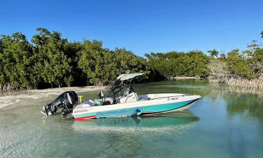 23ft Concept Powerboat Island Tour and Sandbar charter