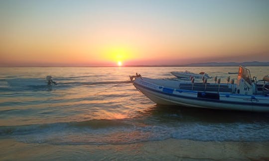 Nuova Jolly RIB Rental in Faro, Portugal