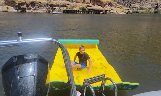 Lilly Pad at Canyon Lake