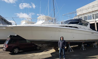 Yate a motor Sea Ray de 44 pies con capitán de USCG con licencia en Lyme, Connecticut