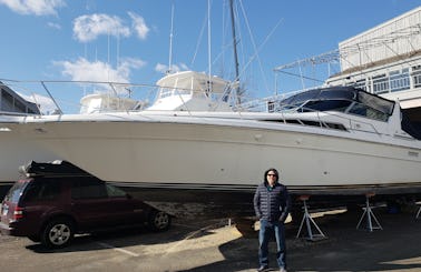 44ft Sea Ray Motor Yacht with Licensed USCG Captain in Lyme, Connecticut