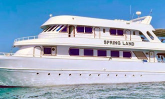 98ft Spring Land Motor Yacht | 4 days / 3 Nights Mini Safari Trip in Red Sea Governorate, Egypt