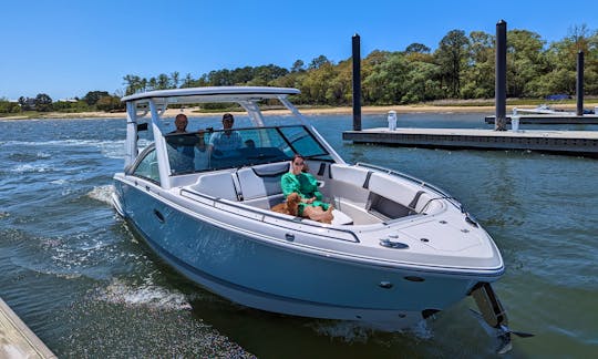 Beautiful 30ft Chaparral Cruiser for entertainment in Charleston