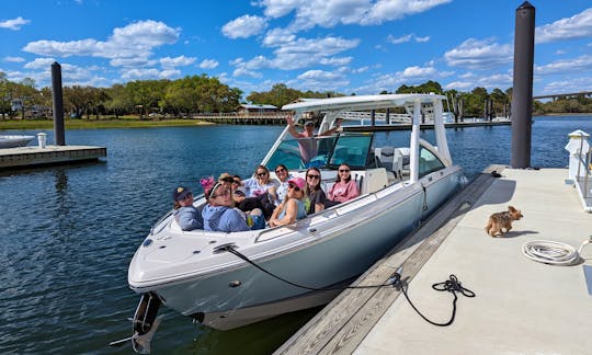 Beautiful 30ft Chaparral Cruiser for entertainment in Charleston