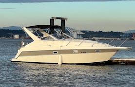 29' Large Power Cruiser With Full Cabin/showers/bathroom, and Camper Top. Top-of-the-line Sound System For Parties On The Water.