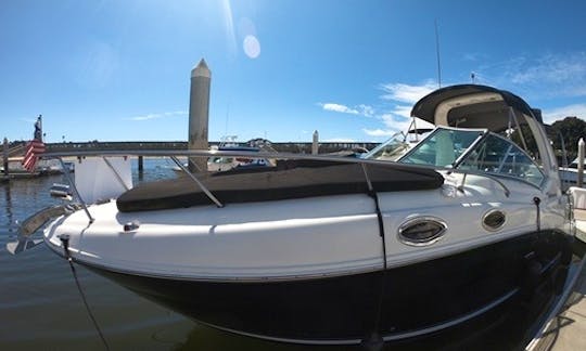 ☀️28' SeaRay SunDancer MotorYacht Cruising Emerald Bay, Newport Beach & Catalina