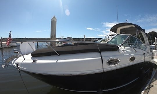 ☀️ 28 pés SeaRay Sundancer MotorYacht Cruising Emerald Bay, ☀️ Solicite o especial de junho ☀️