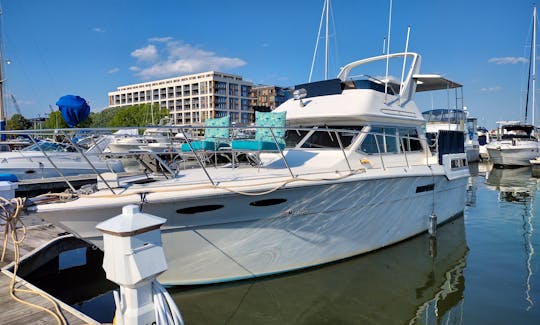 Sea Ray 36ft Motor Yacht Rental in Washington, District of Columbia.