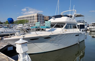 Sea Ray 36ft Motor Yacht Rental in Washington, District of Columbia.