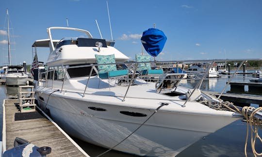 Sea Ray 36ft Motor Yacht Rental in Washington, District of Columbia