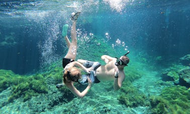 Cenotes en bicicleta y cocina al estilo maya en la Riviera Maya