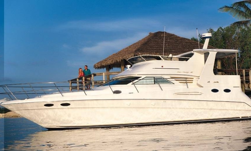 sea ray sport yacht 420 aft cabin