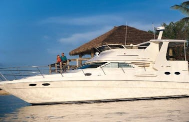Luxury Yacht!! 48ft Sea Ray 420 Sport Aft Cabin with Captain, Vancouver