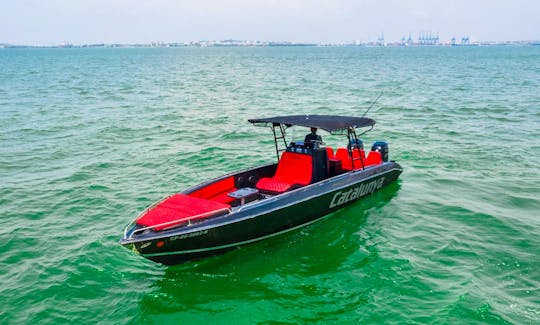35ft Luxury Speed Boat in Cartagena de Indias, Bolívar