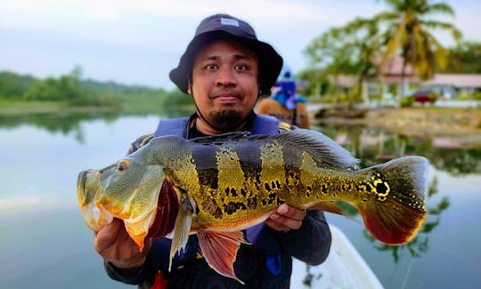 Perak Wild Peacock Bass Fishing Trip In Malaysia