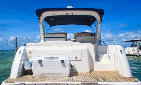 40ft amazing Mustang Yacht Rental in Isla mujeres, Cancún