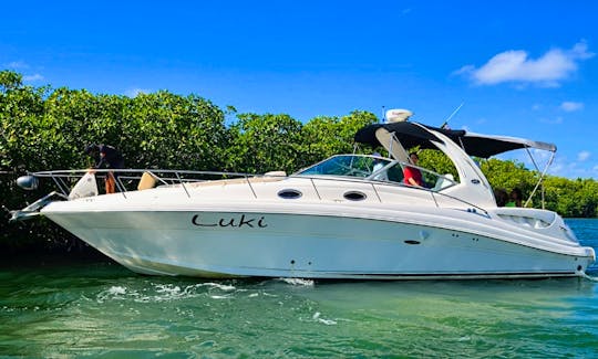 Searay Sundancer 34ft perfect for family and couples ISLA MUJERES CANCUN
