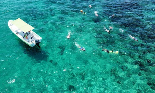 Navigate and Snorkel the sea of Cortez in Cabo with our 26ft Panga Boat