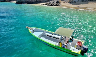 Bote privado Panga de 26 pies en Cabo San Lucas