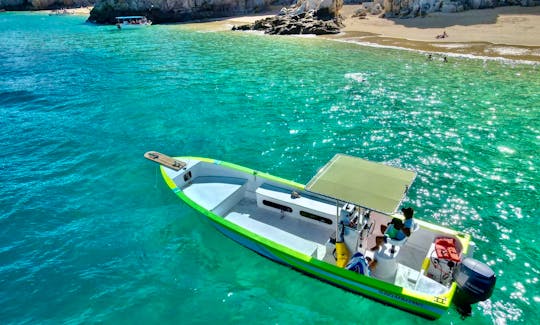 Private 26' Panga boat in Cabo San Lucas