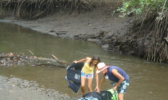 Explore The Estuary In Costa Rica on a Kayak Tour