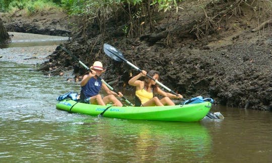 Explore The Estuary In Costa Rica on a Kayak Tour